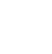 Direct Veille